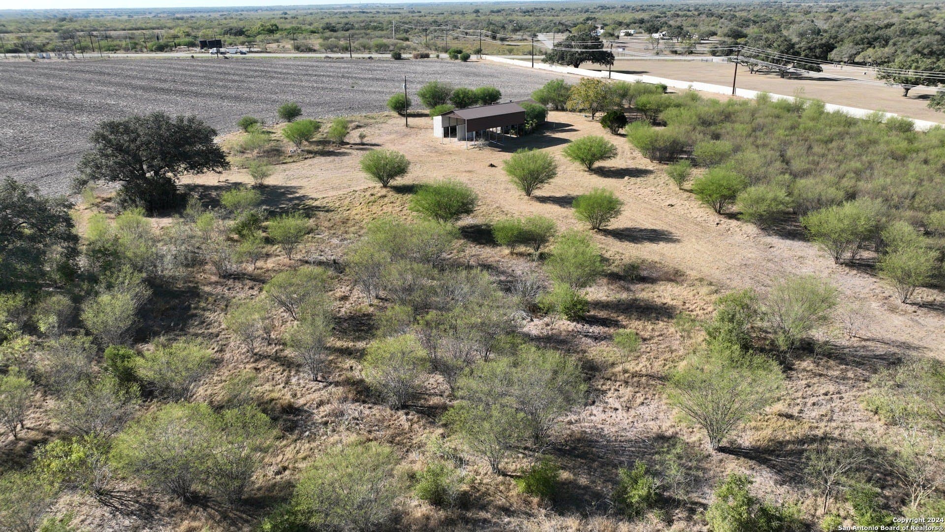171.83 acres in Karnes County gallery image 2