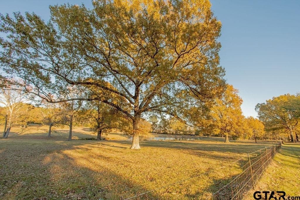19.55 acres in Smith County - photo 48
