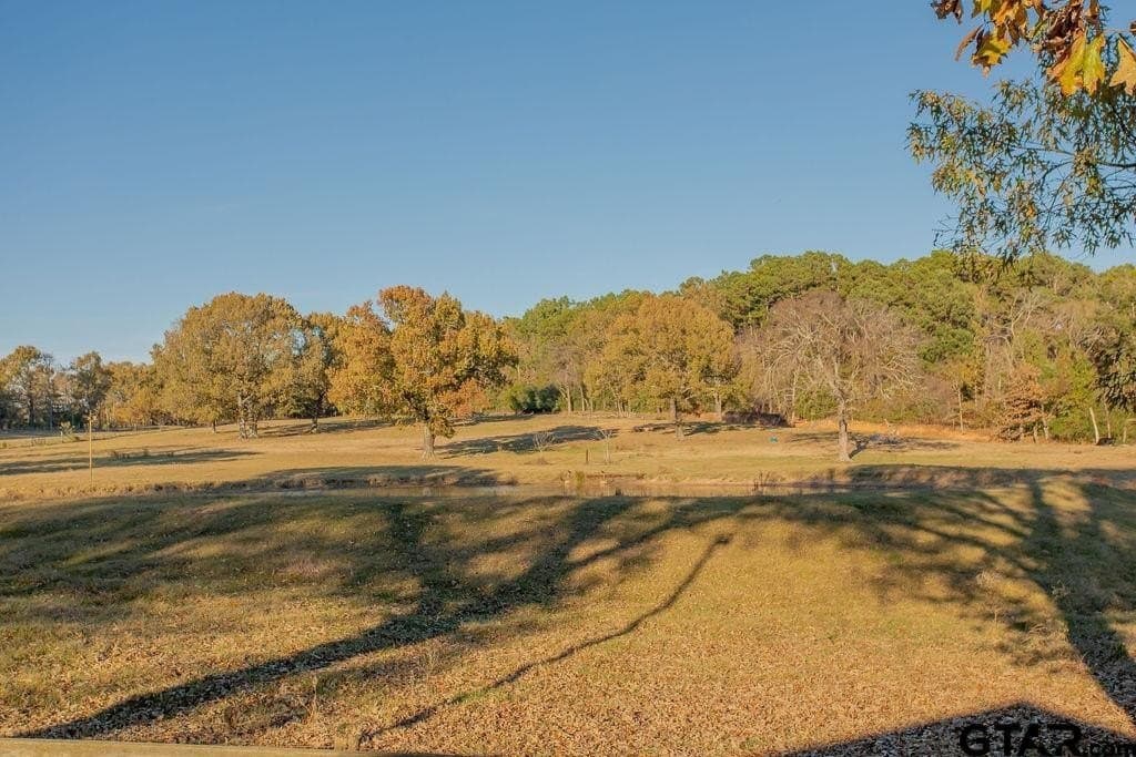 19.55 acres in Smith County - photo 8