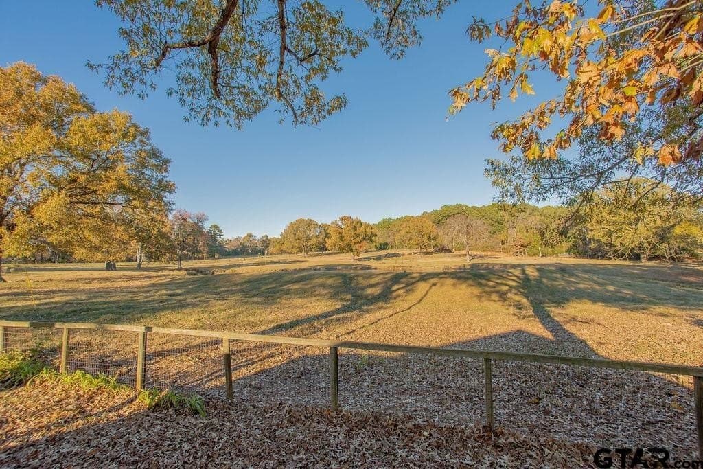 19.55 acres in Smith County - photo 9
