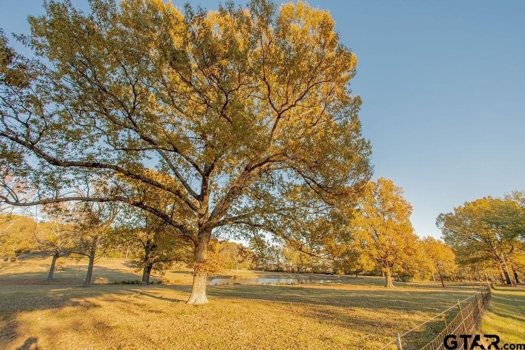 19.55 acres in Smith County - photo 44