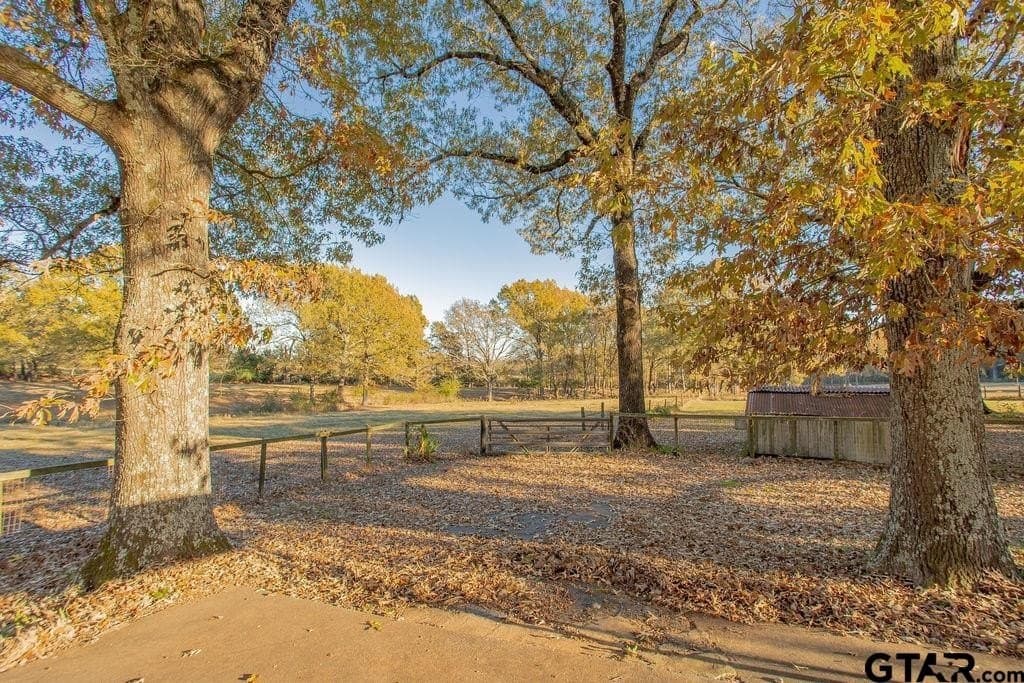 19.55 acres in Smith County - photo 10