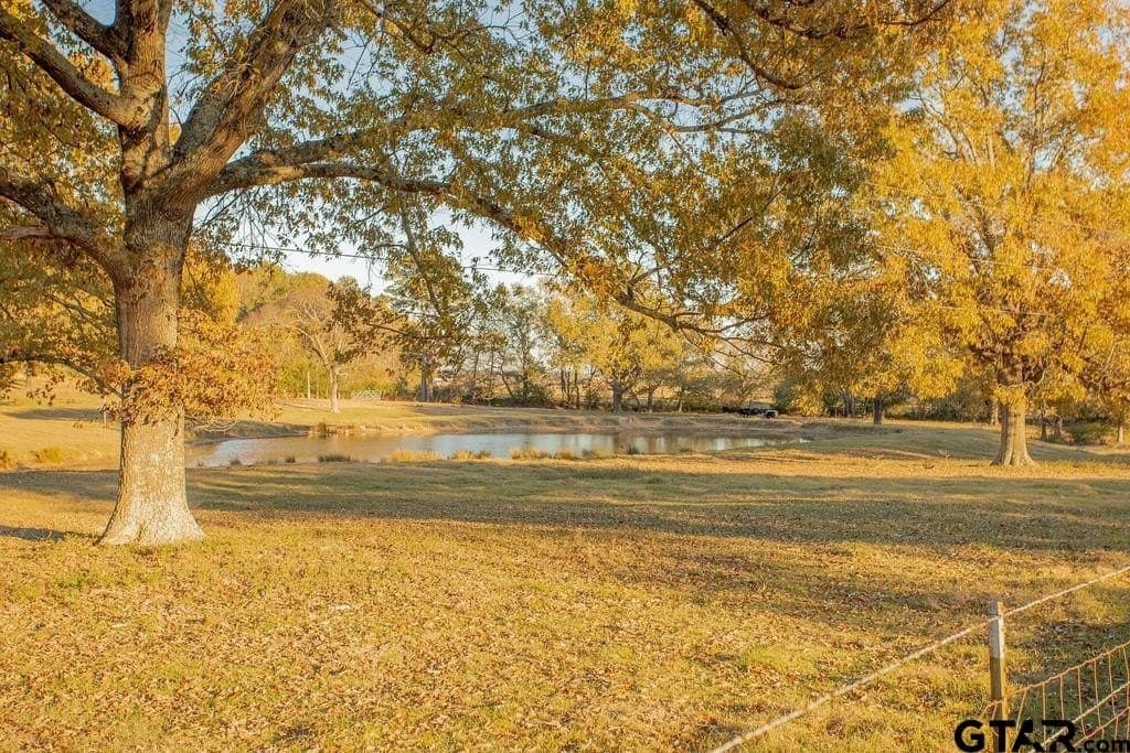 19.55 acres in Smith County - photo 45
