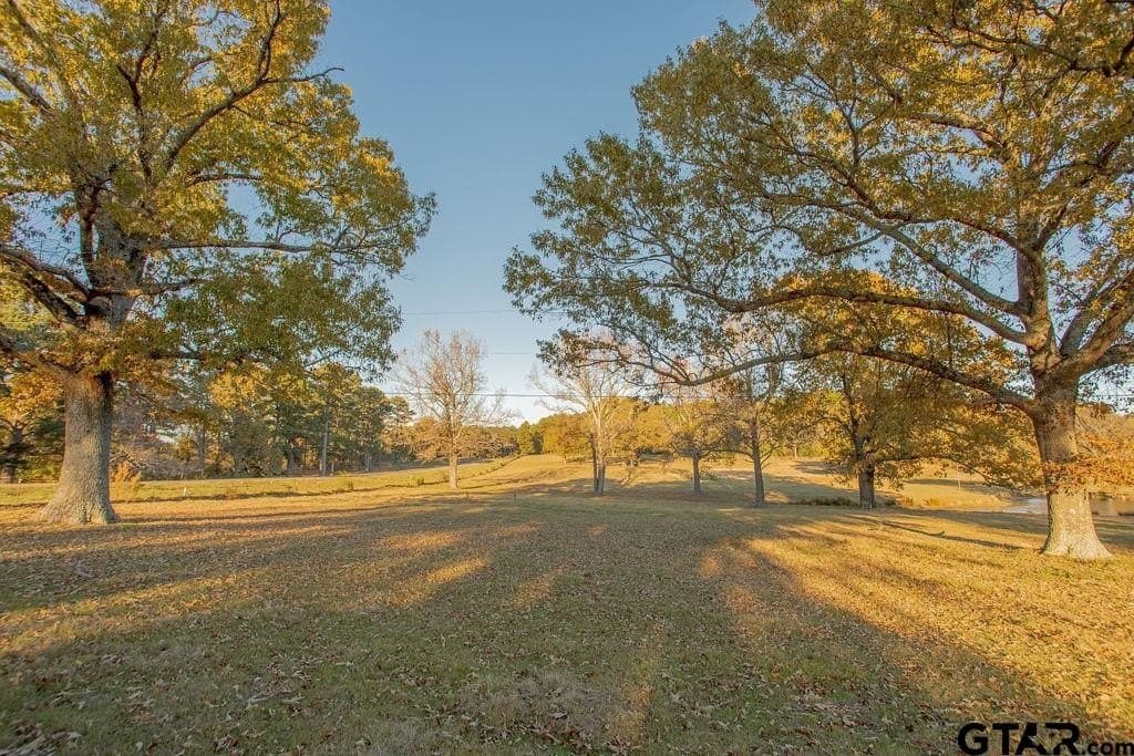 19.55 acres in Smith County - photo 47