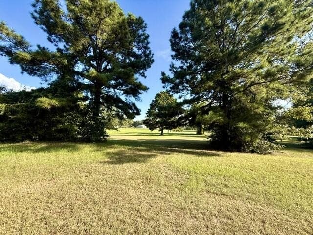 0.93 acres in Texas County - photo 9
