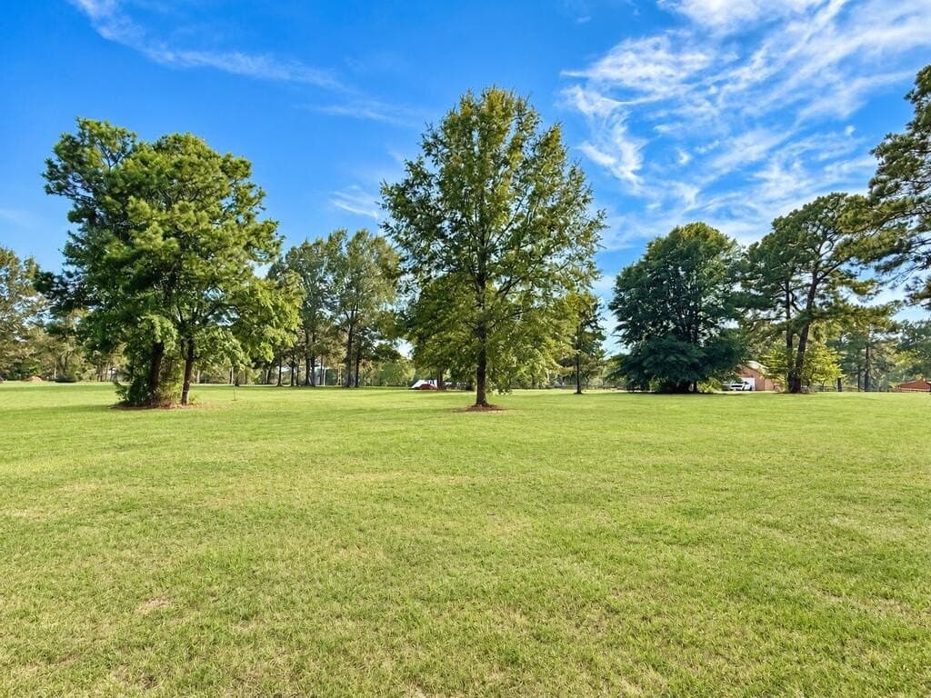 0.93 acres in Texas County - photo 4