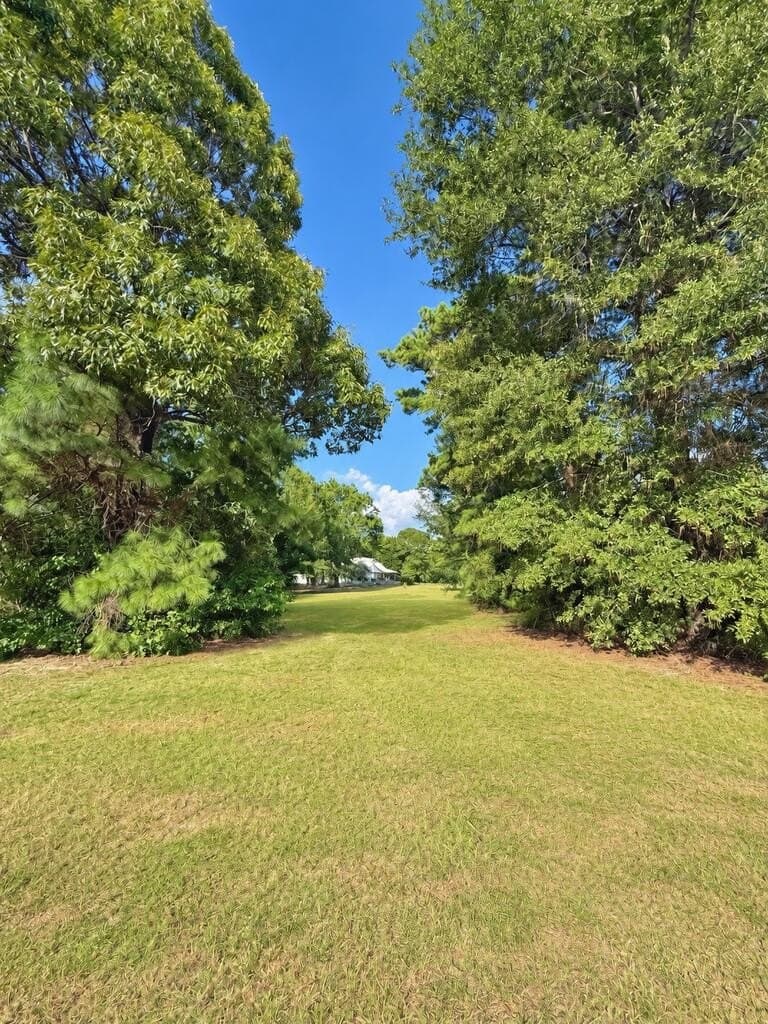 0.93 acres in Texas County - photo 5