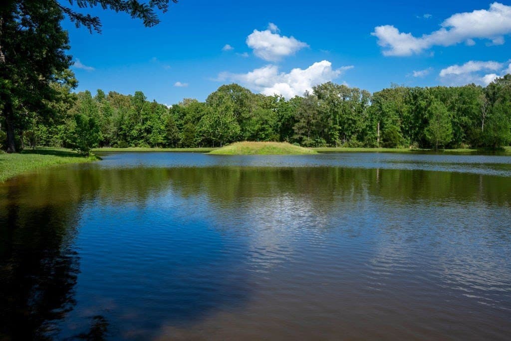 0.75 acres in ANDERSON County - photo 35