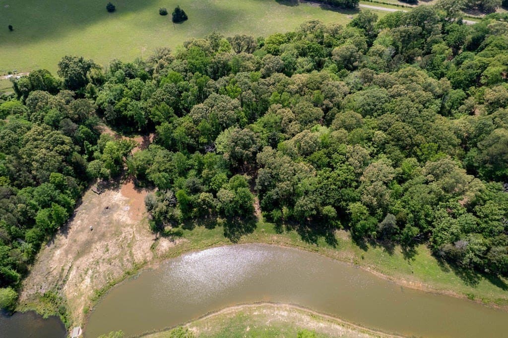 0.75 acres in ANDERSON County - photo 12