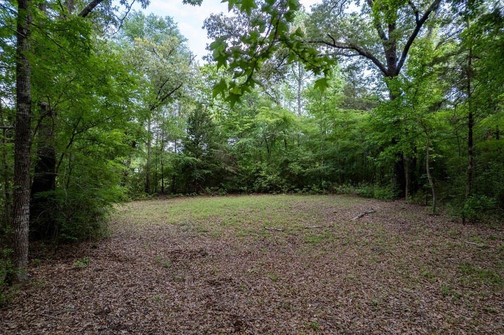 0.75 acres in ANDERSON County - photo 6