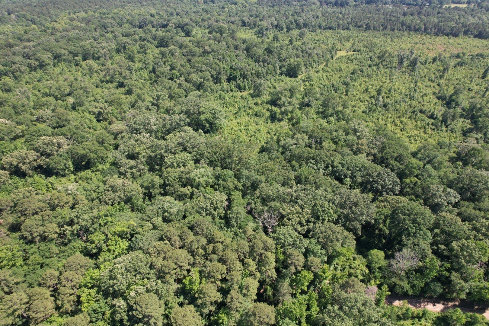 15.3 acres in Shelby County - photo 3