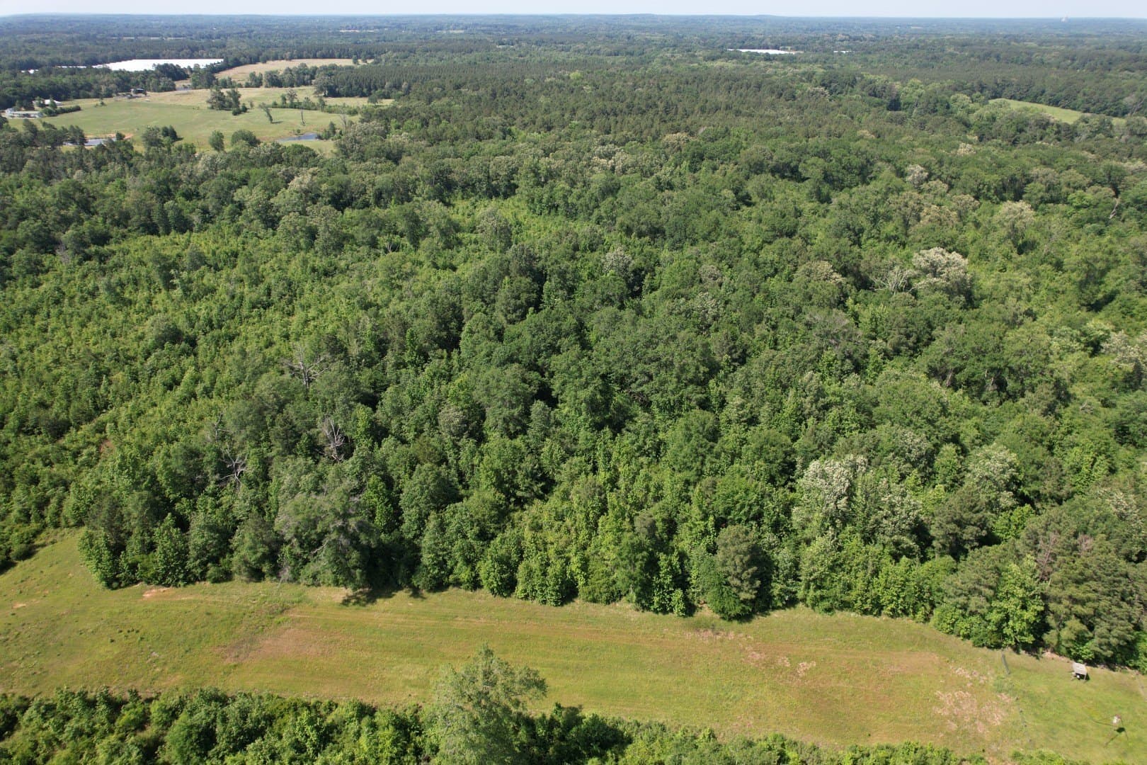 15.3 acres in Shelby County - photo 4
