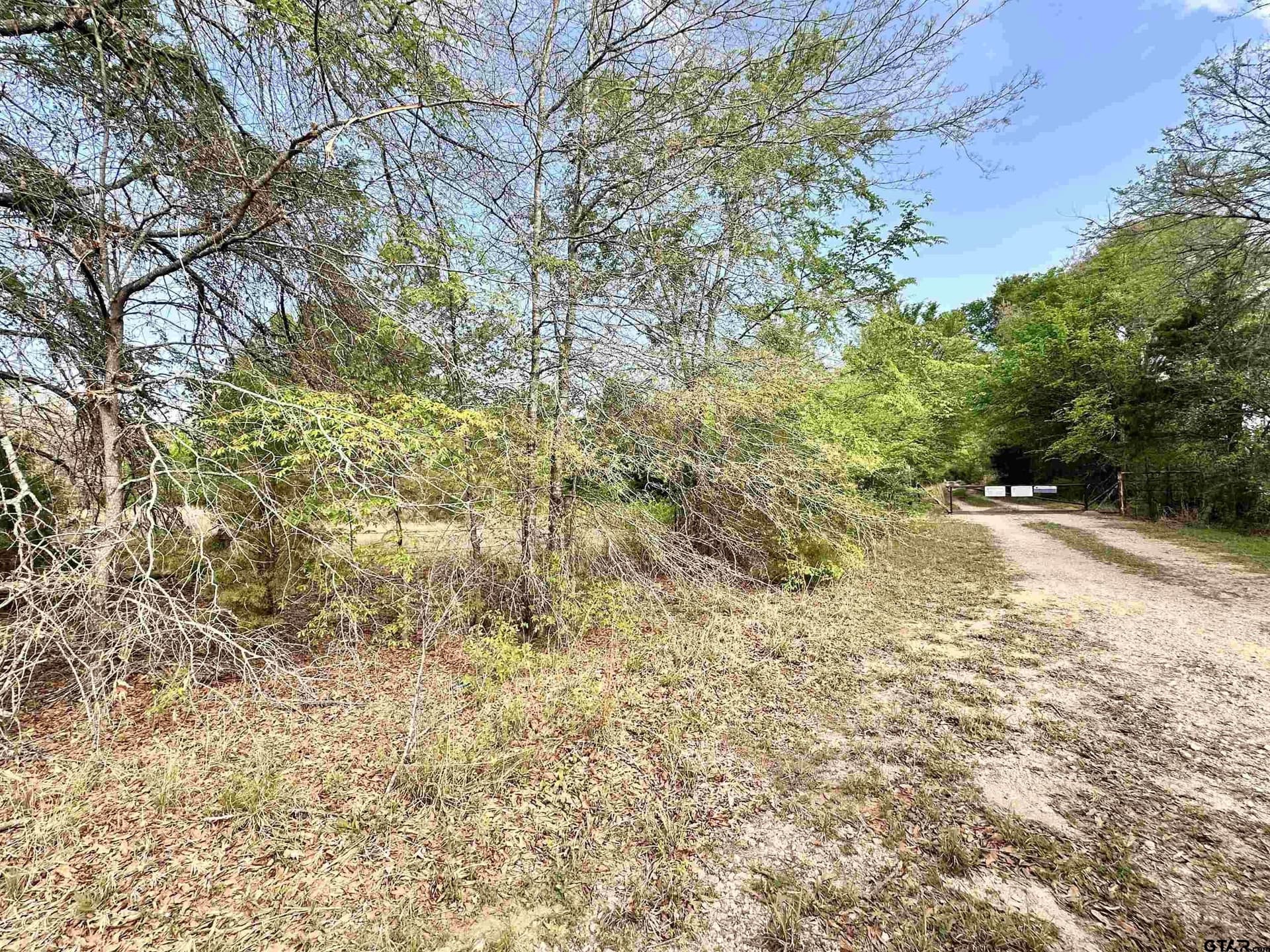 13.21 acres in Henderson County - photo 9