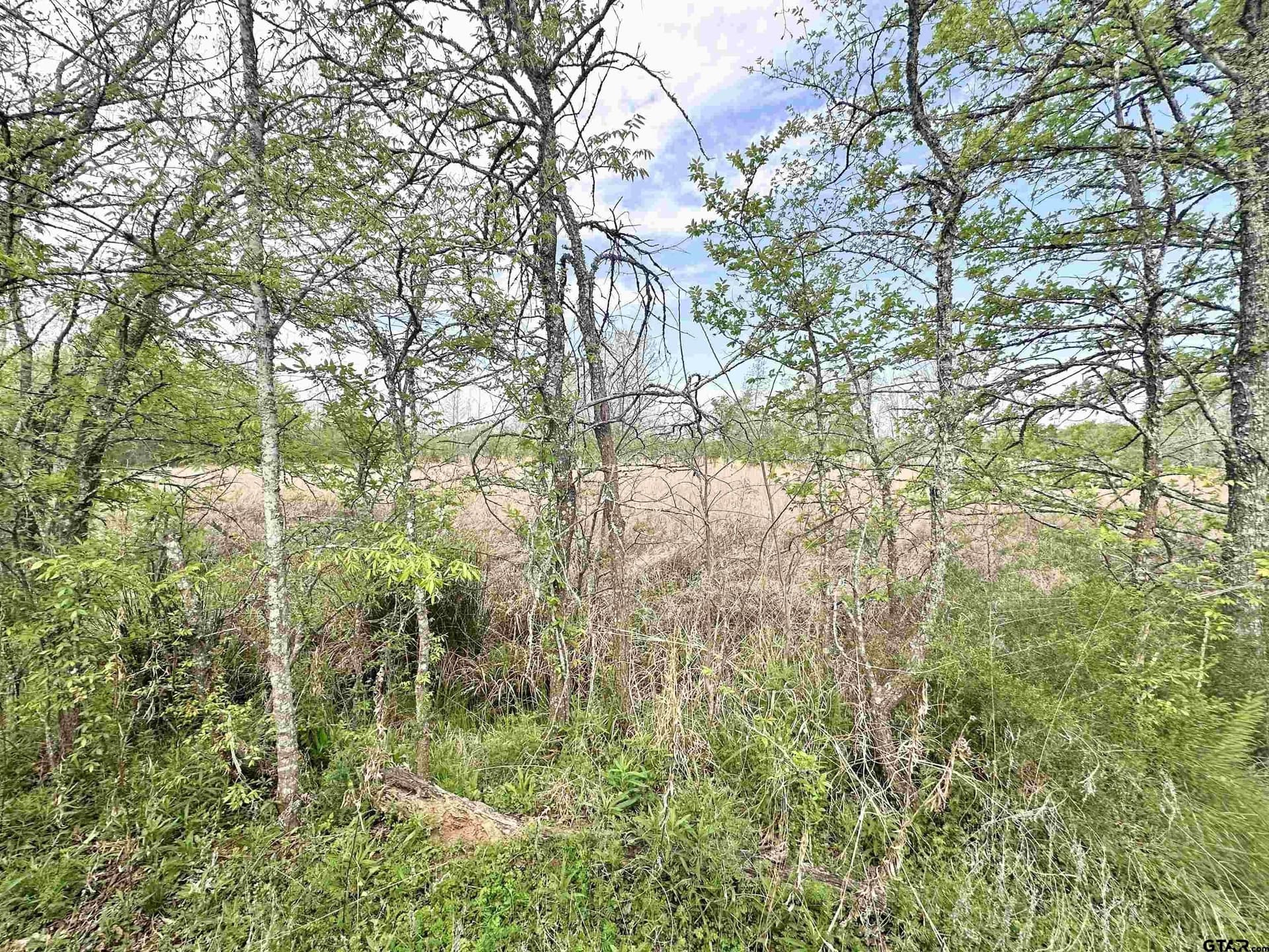 13.21 acres in Henderson County - photo 12
