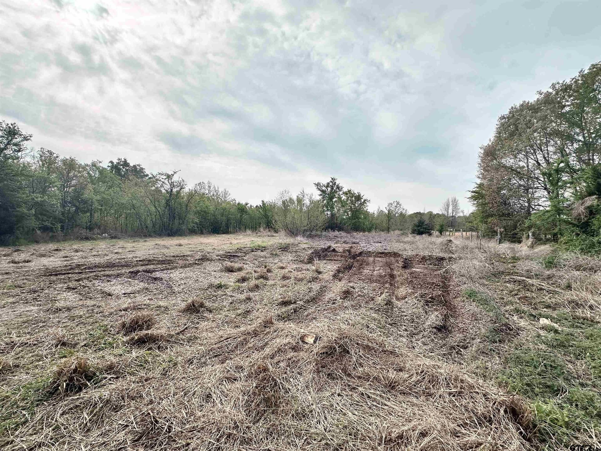 13.21 acres in Henderson County - photo 11
