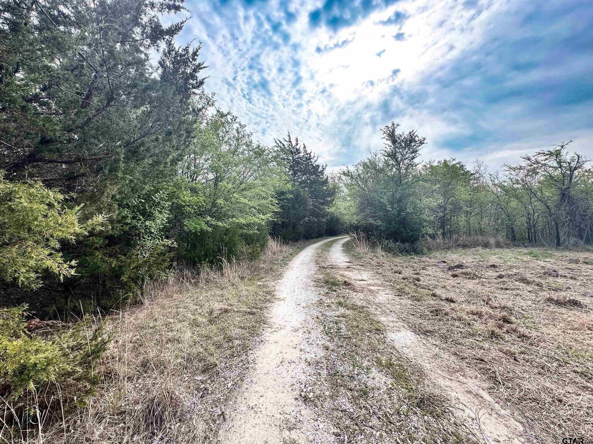 13.21 acres in Henderson County - photo 8