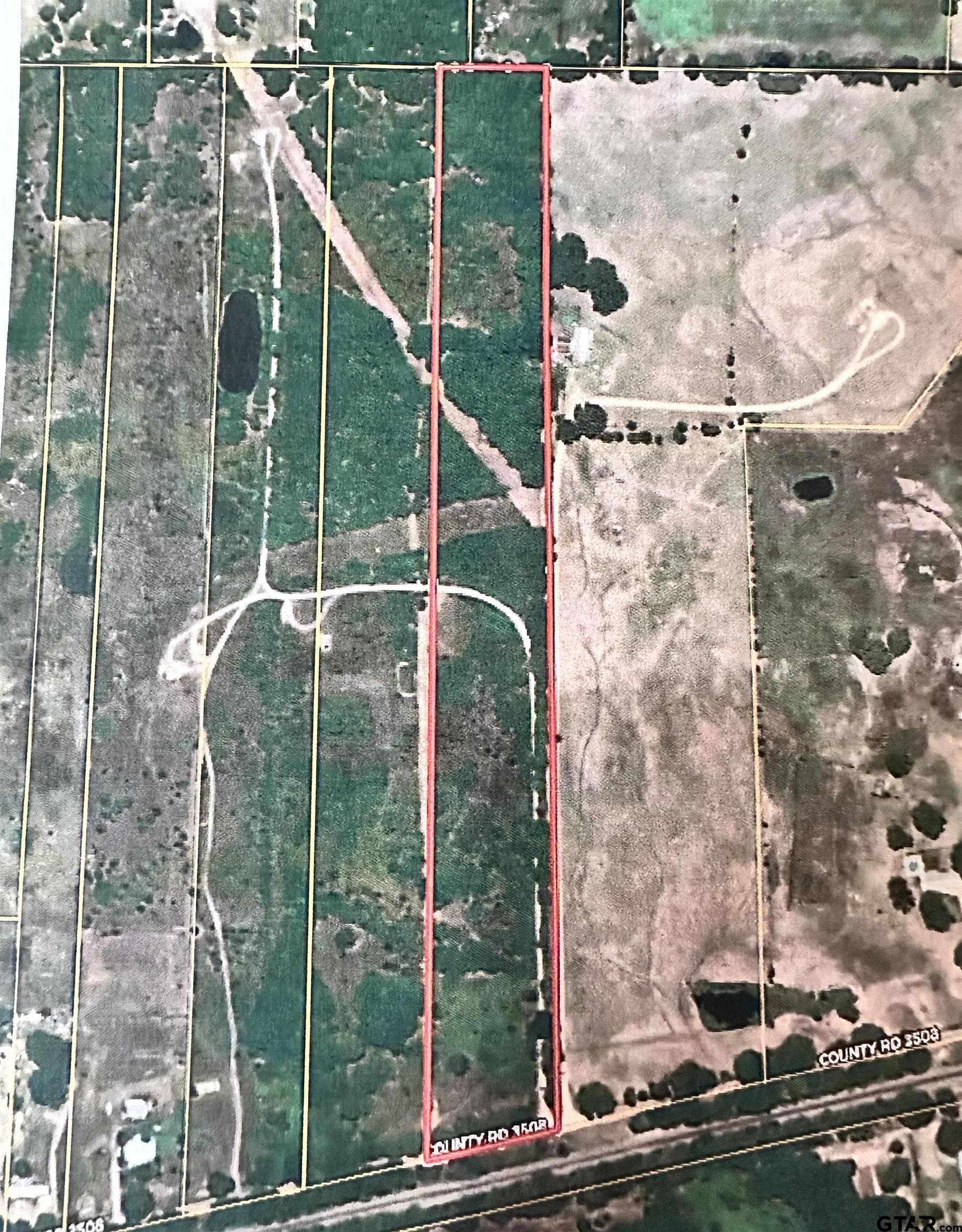 13.21 acres in Henderson County - photo 14