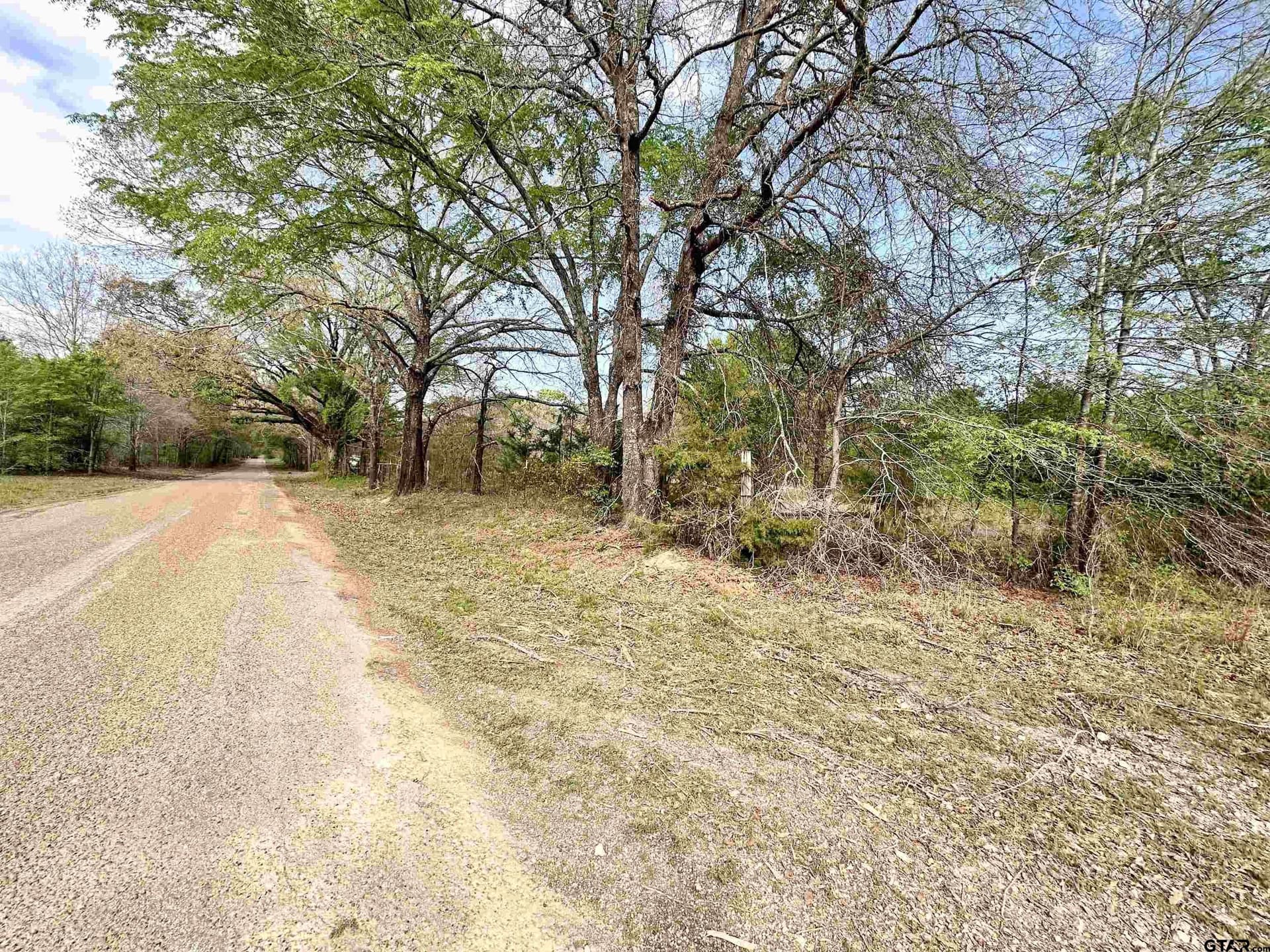 13.21 acres in Henderson County gallery image 3