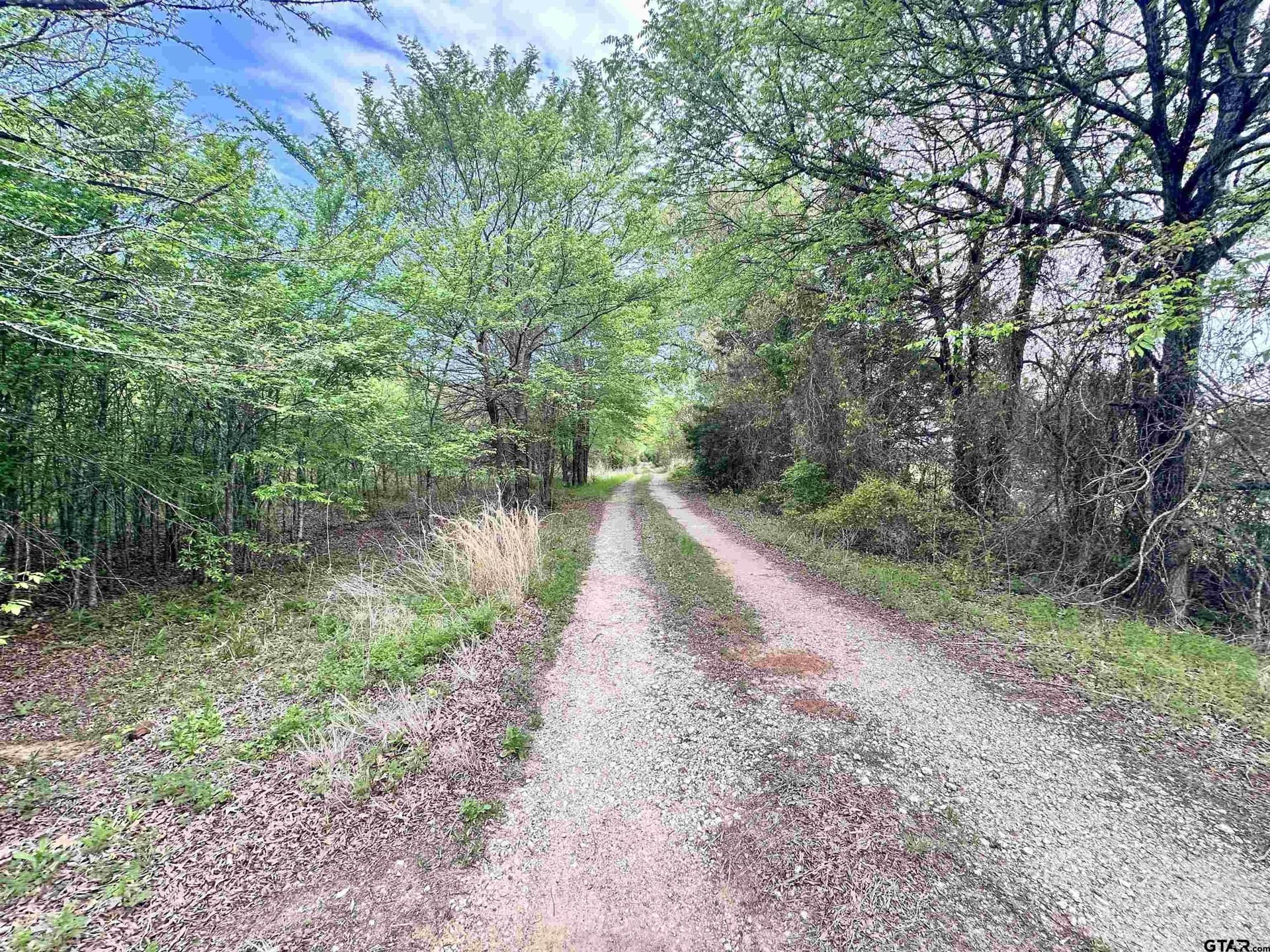13.21 acres in Henderson County - photo 7