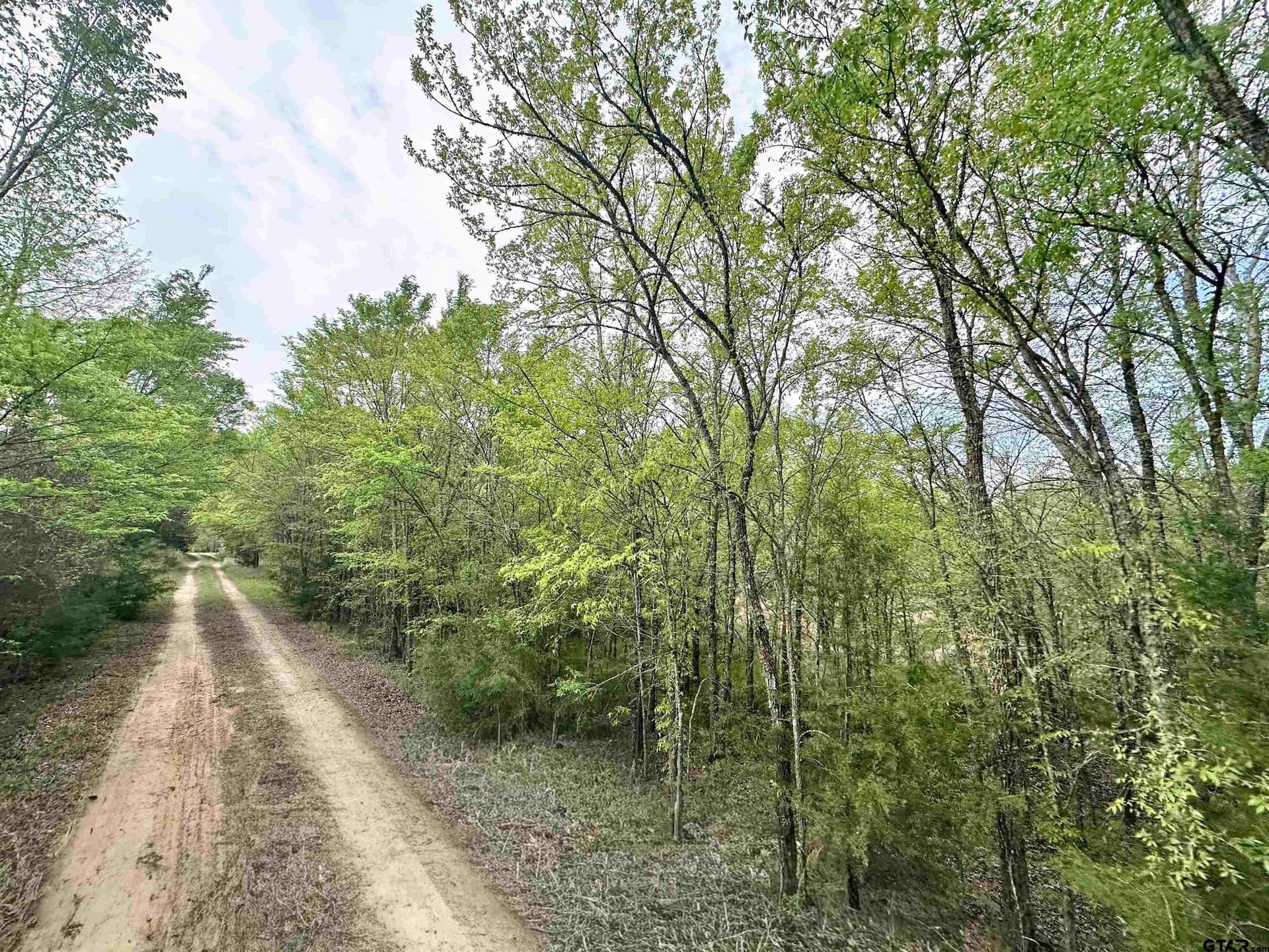 13.21 acres in Henderson County
