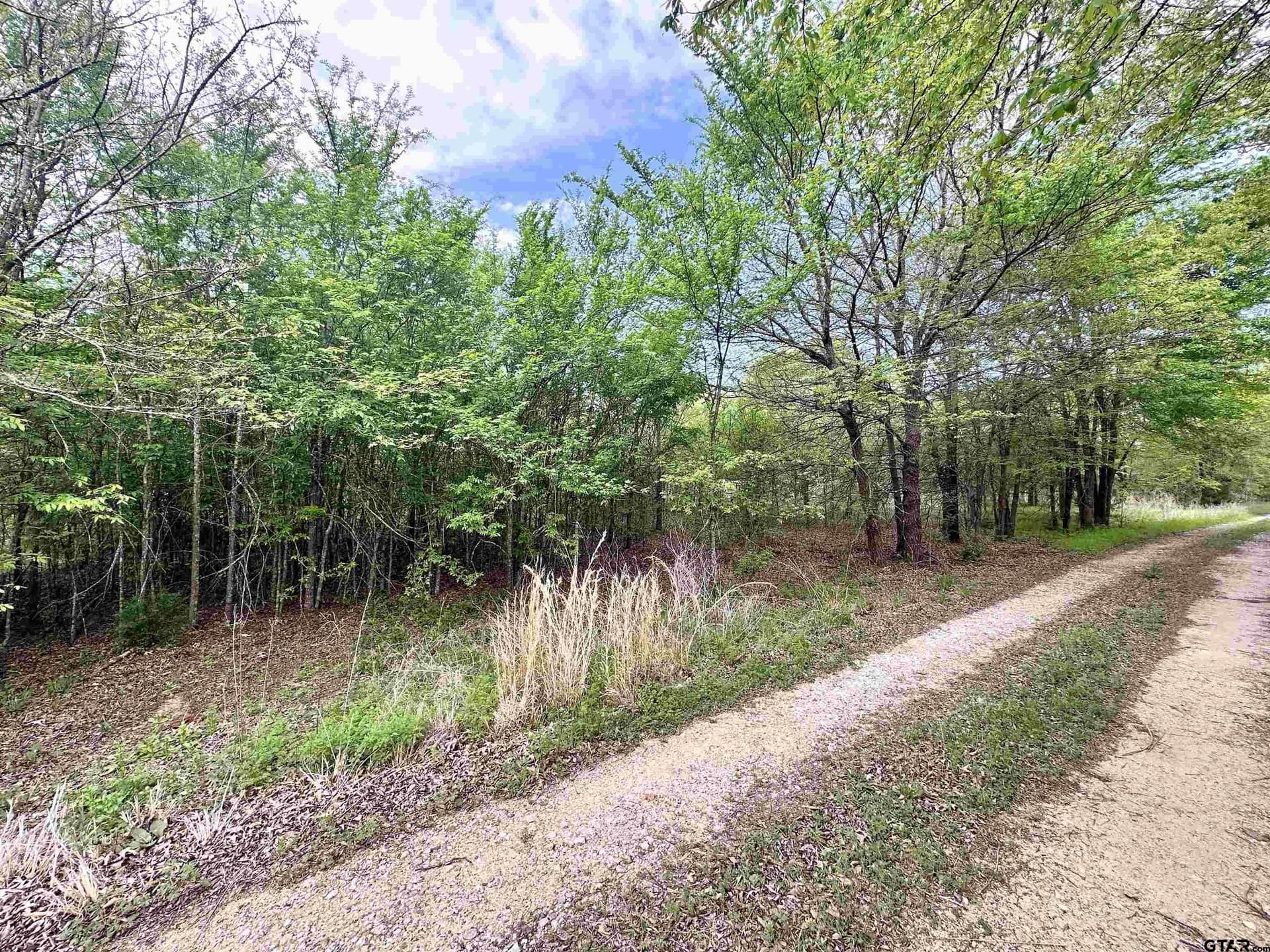 13.21 acres in Henderson County - photo 6