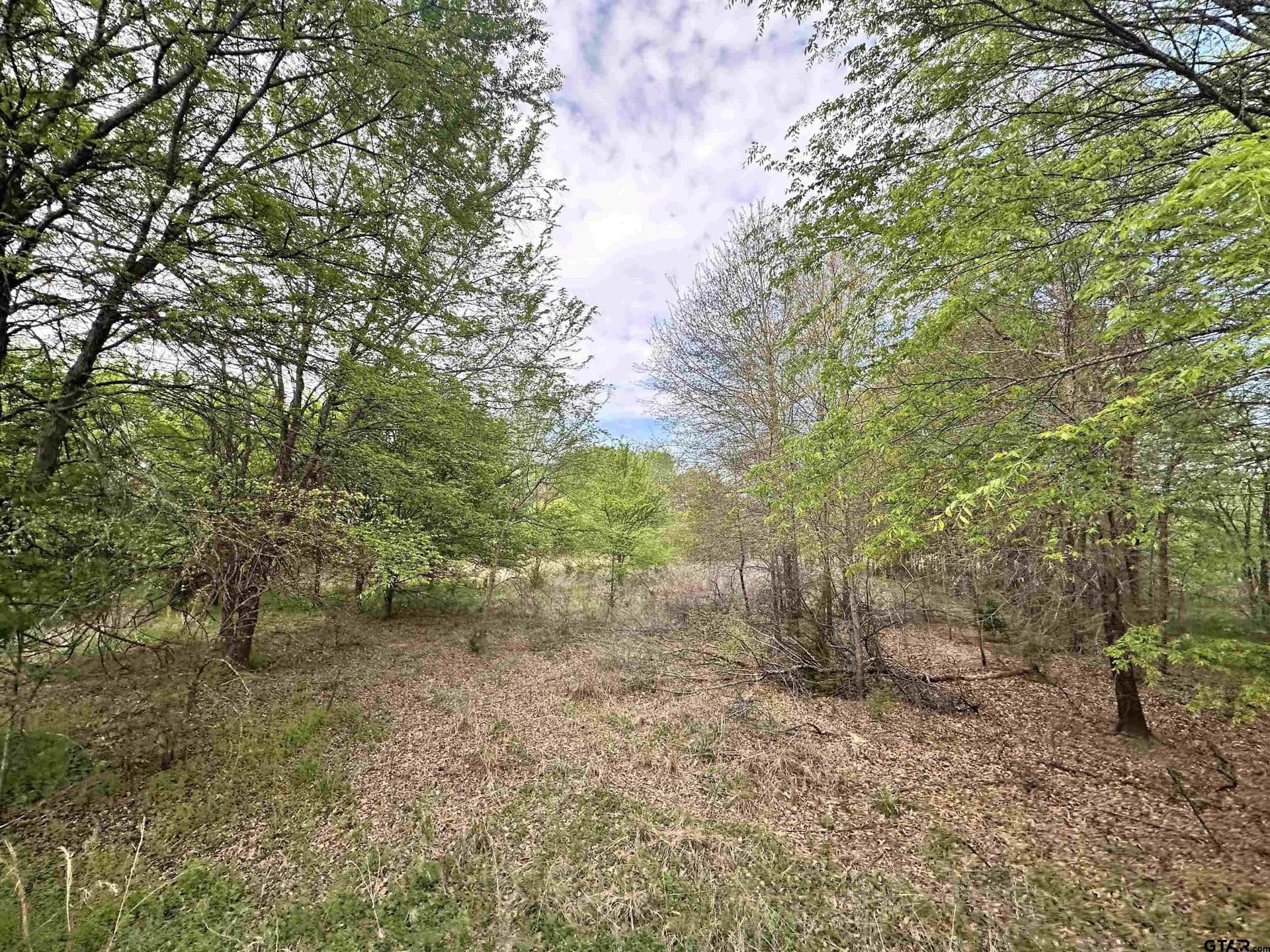 13.21 acres in Henderson County - photo 13