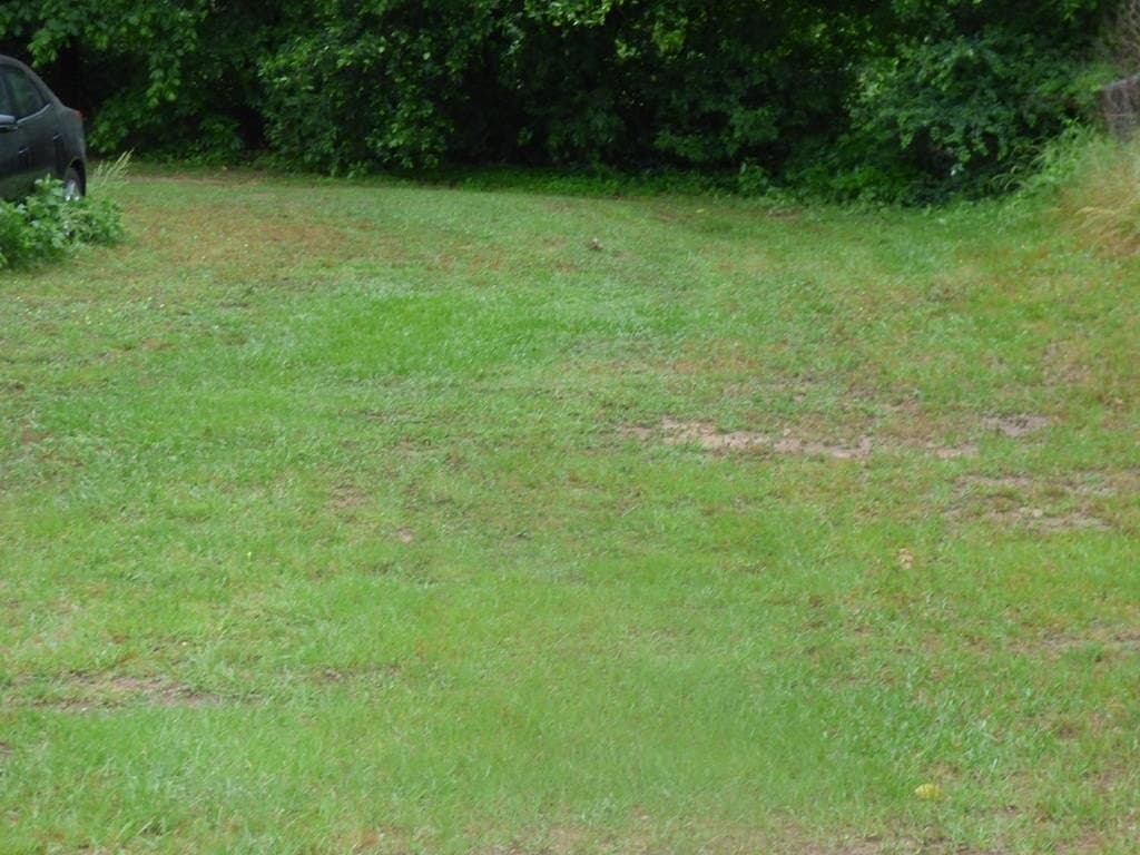 0.15 acres in Texas County featured view