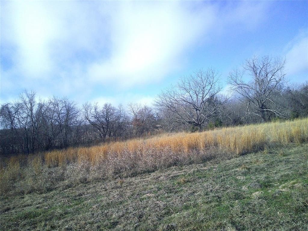 2.85 acres in Montague County gallery image 4