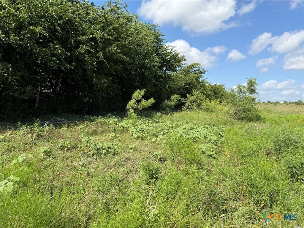 10 acres in Williamson County - photo 8