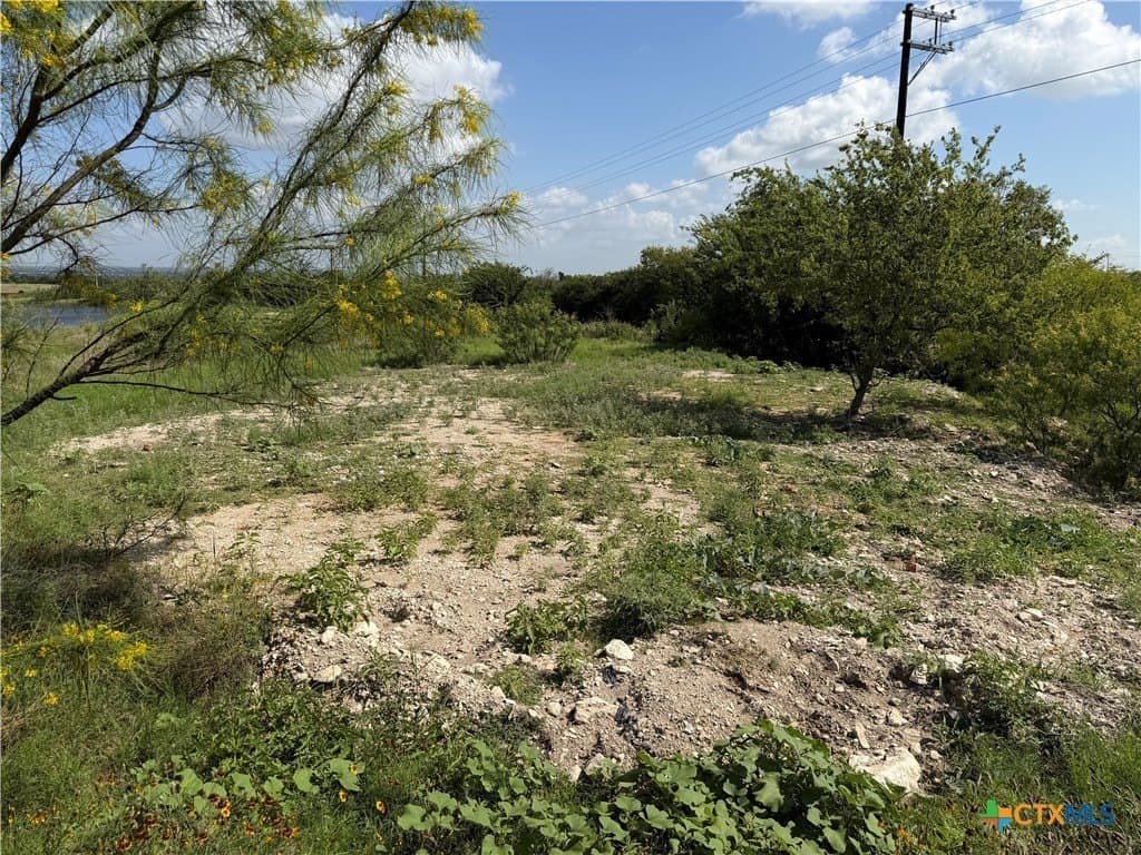 10 acres in Williamson County - photo 11