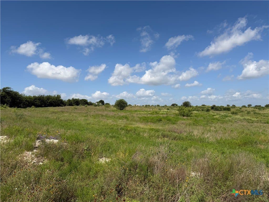10 acres in Williamson County - photo 12