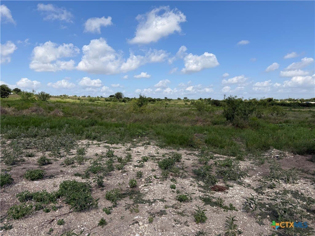 10 acres in Williamson County - photo 10