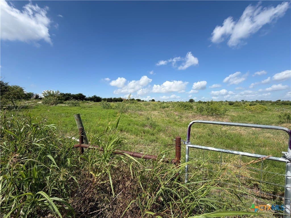 10 acres in Williamson County - photo 7