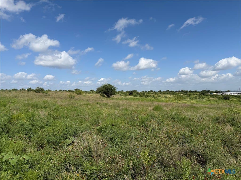 10 acres in Williamson County - photo 9