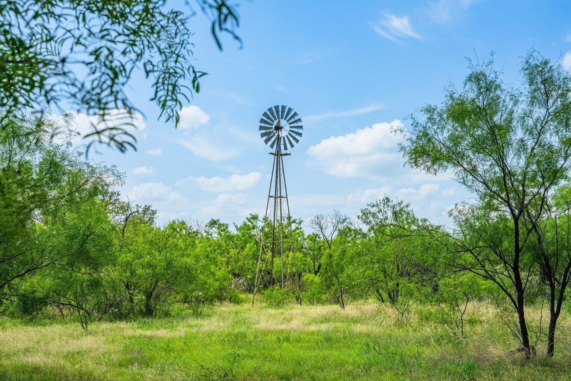 846.8 acres in Llano County gallery image 4