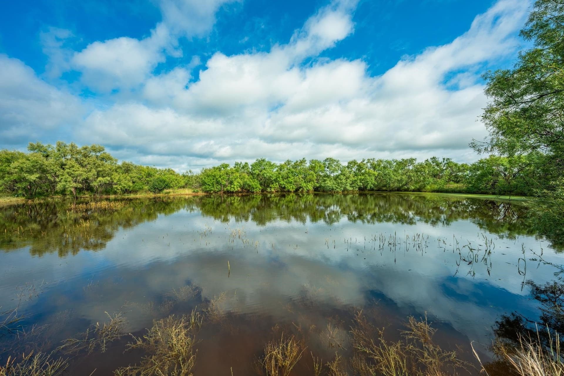 846.8 acres in Llano County