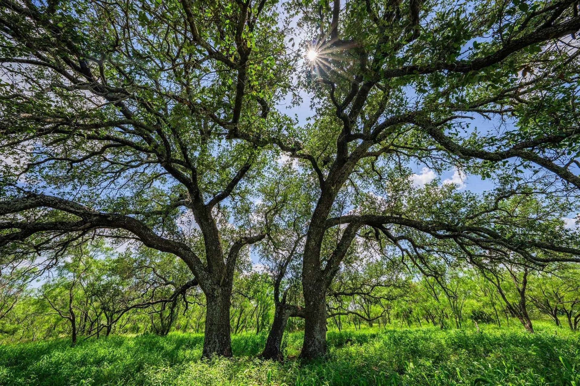 846.8 acres in Llano County featured view