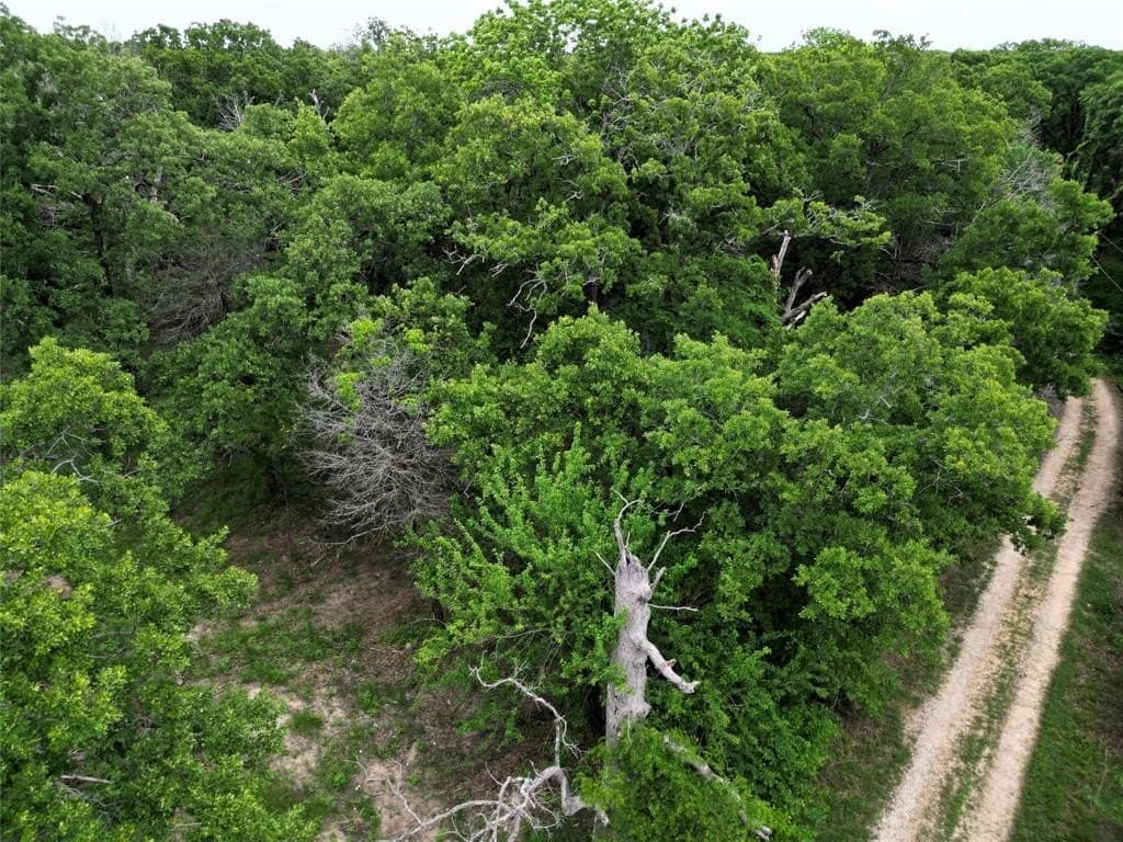 0.26 acres in Hunt County gallery image 2