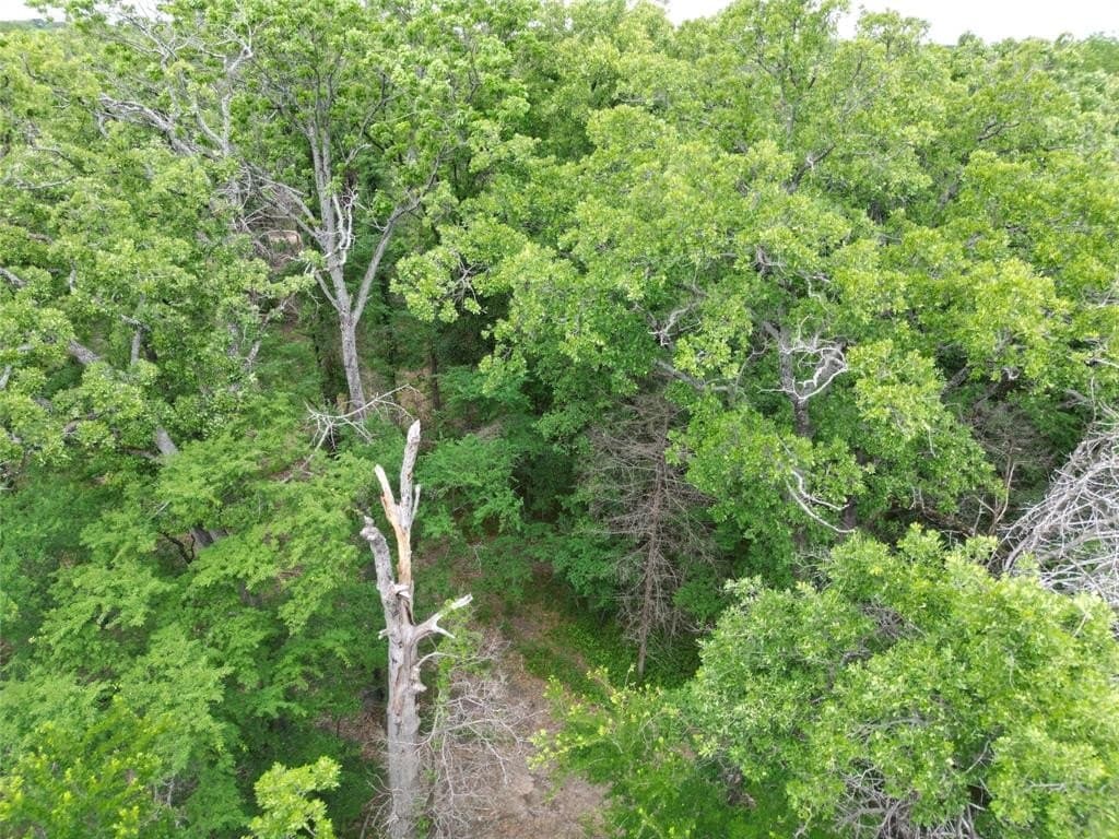 0.26 acres in Hunt County gallery image 3