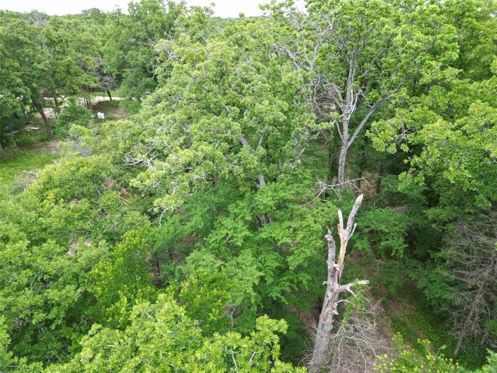 0.26 acres in Hunt County gallery image 4