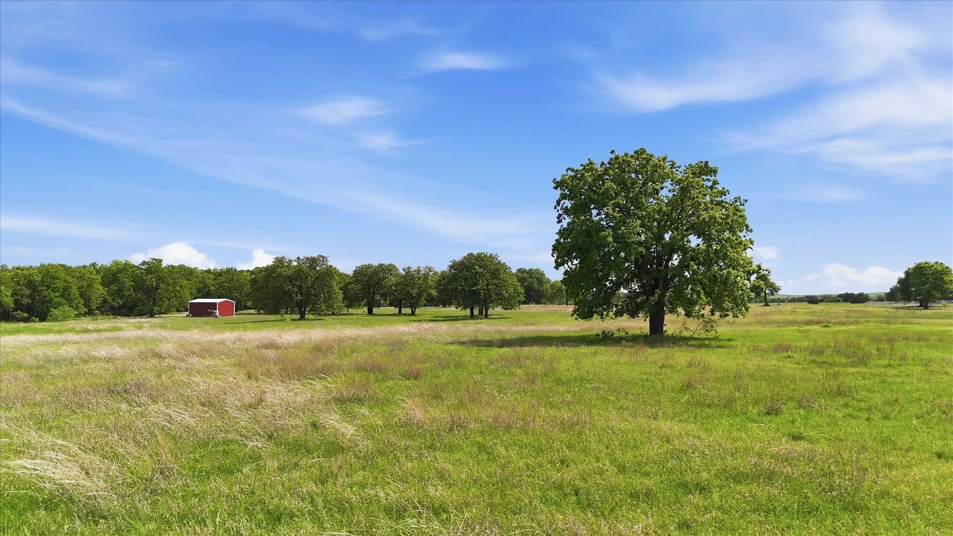 13.19 acres in Parker County gallery image 4