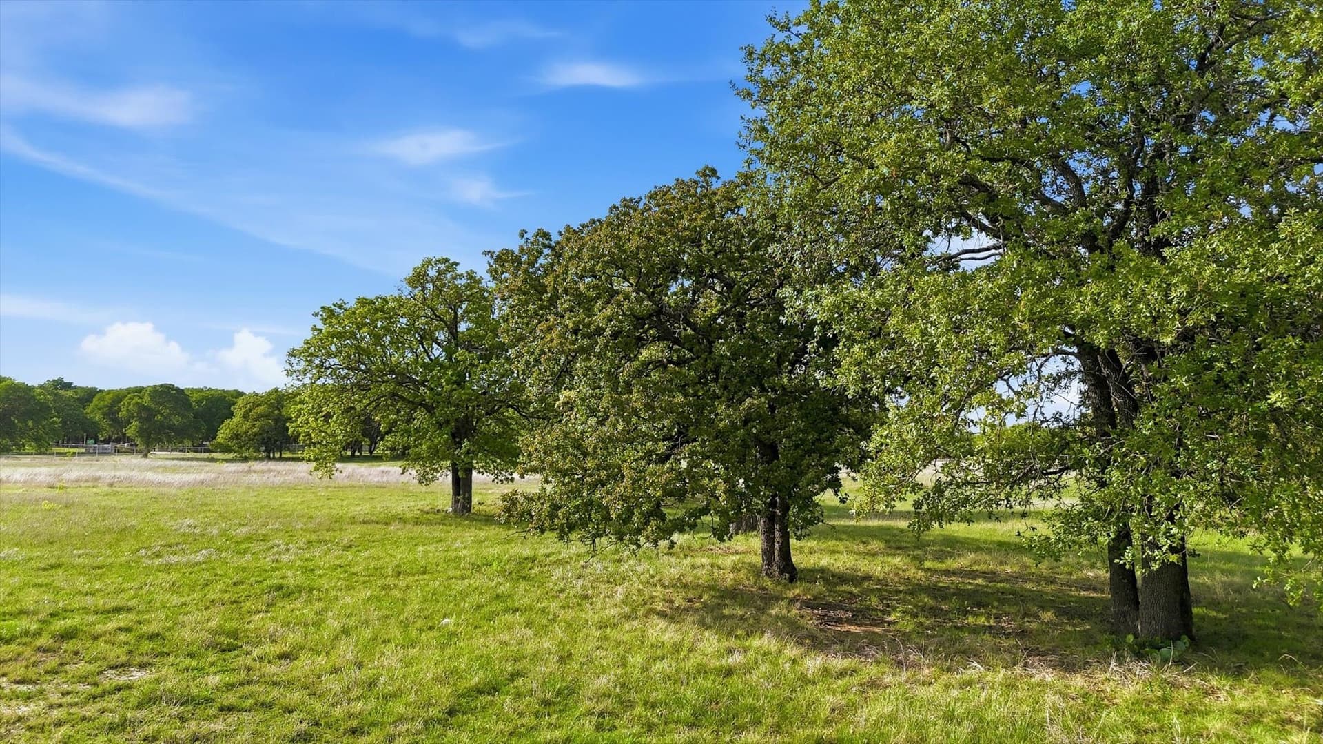 13.19 acres in Parker County gallery image 2