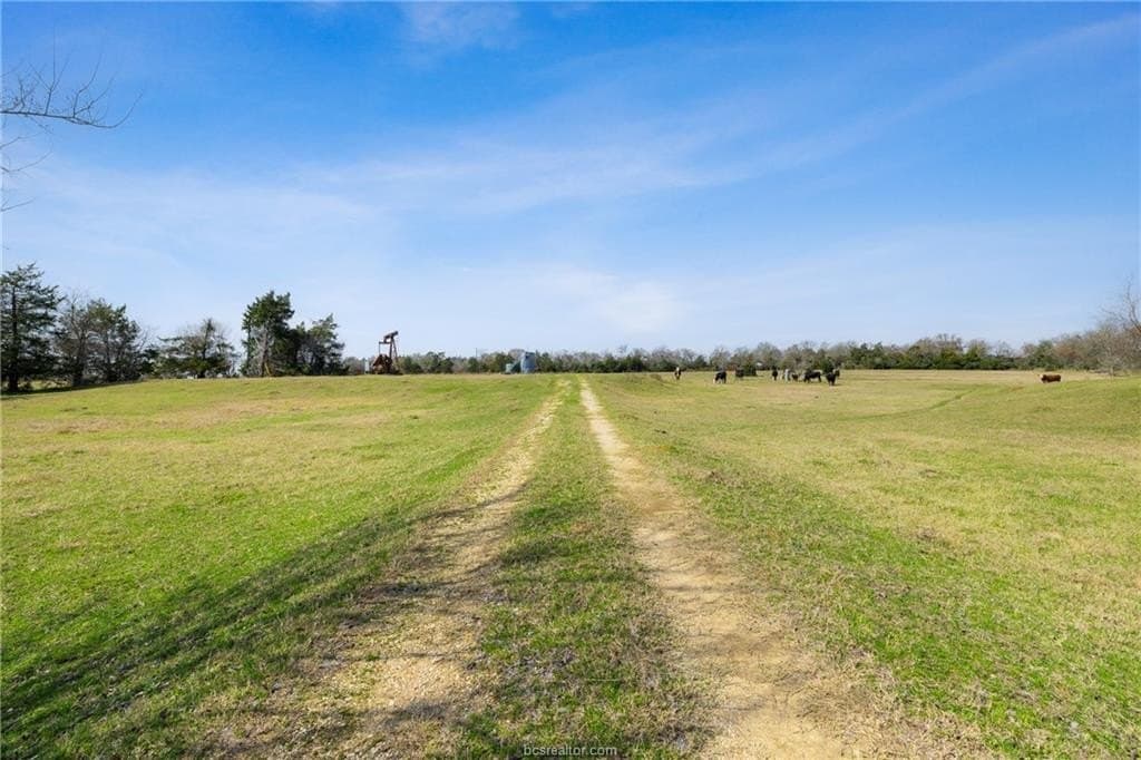 44.22 acres in Burleson County - photo 10