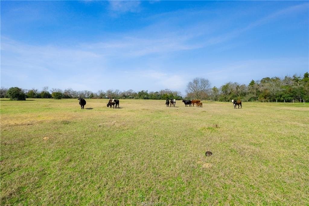 44.22 acres in Burleson County - photo 2
