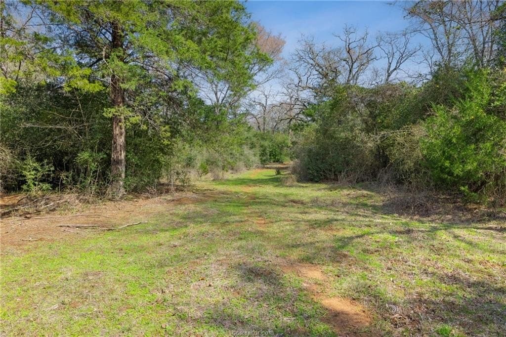 44.22 acres in Burleson County - photo 7