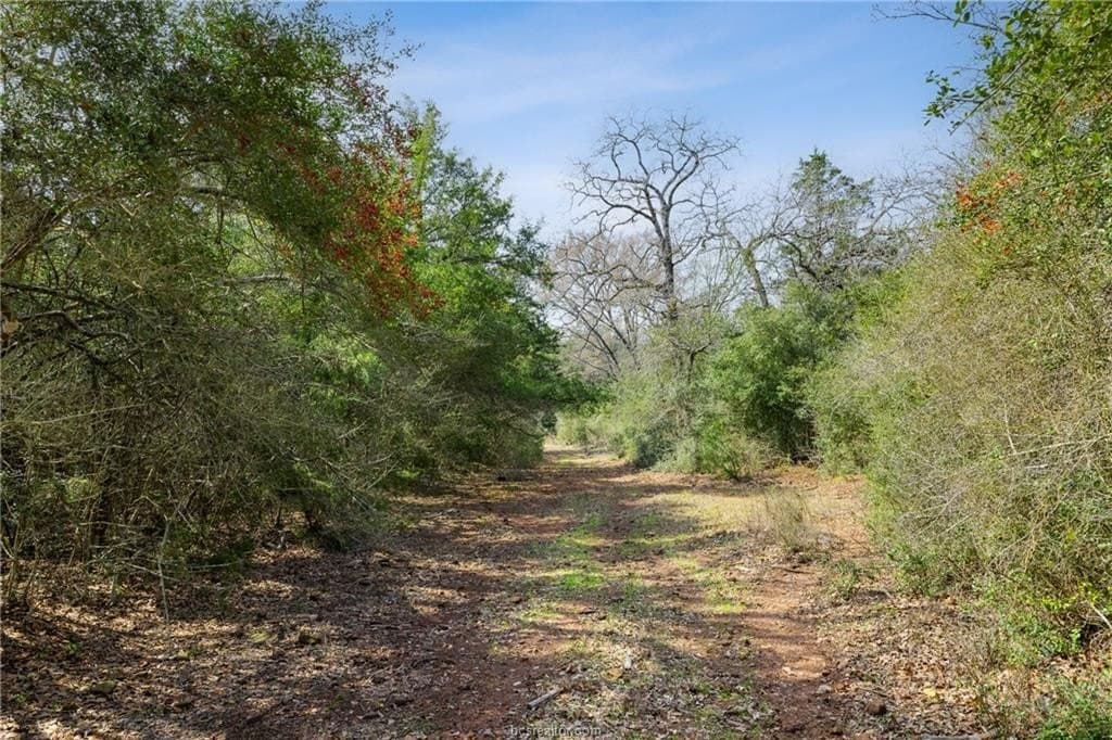 44.22 acres in Burleson County - photo 14