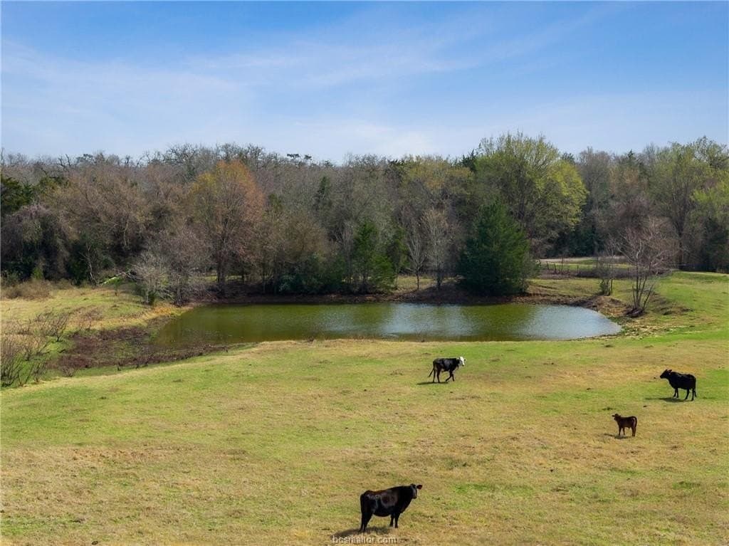 44.22 acres in Burleson County - photo 15