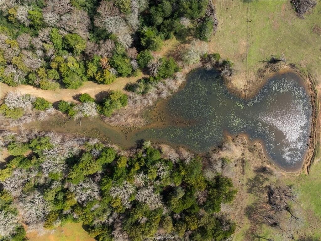 44.22 acres in Burleson County - photo 16