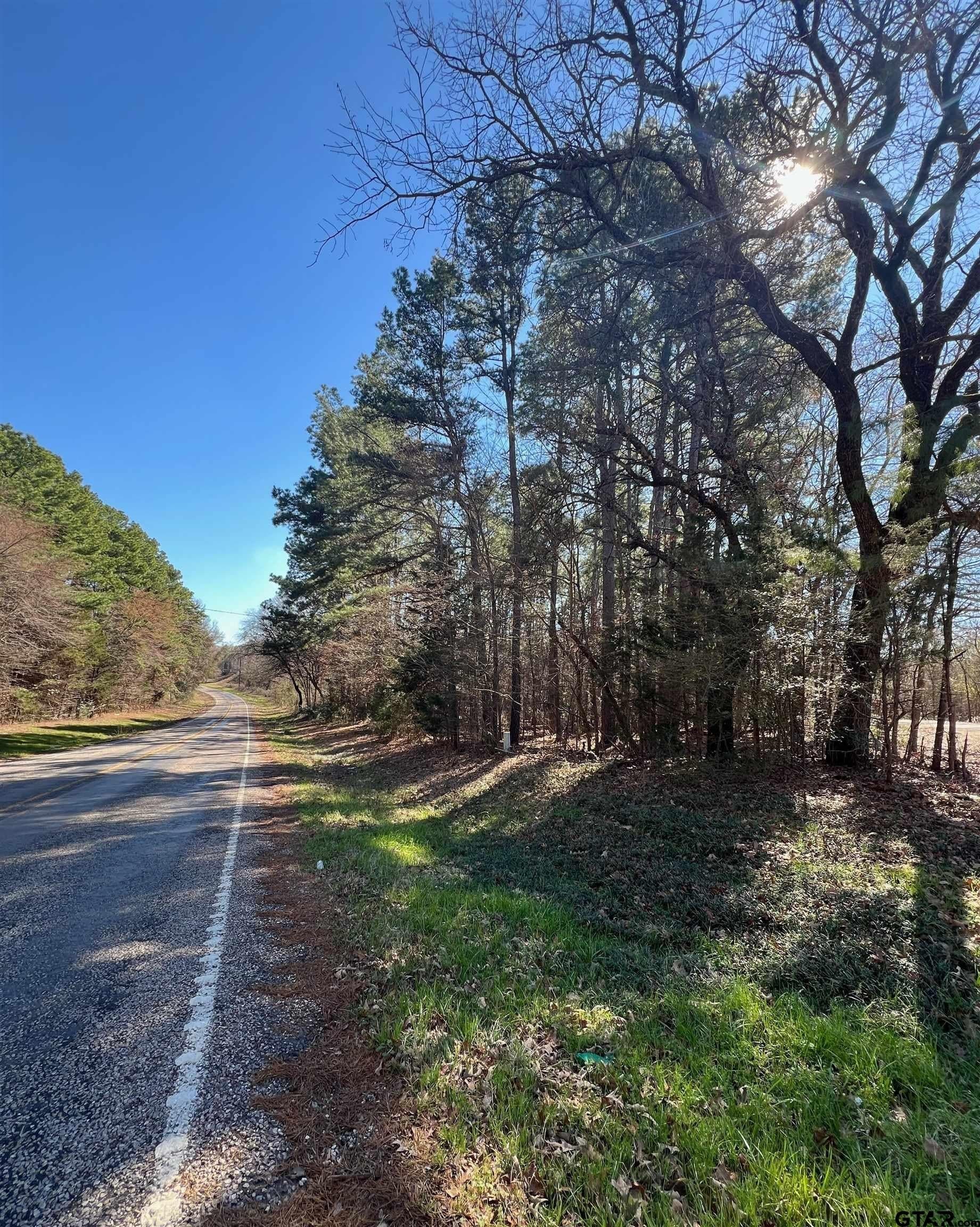 8 acres in Camp County gallery image 2