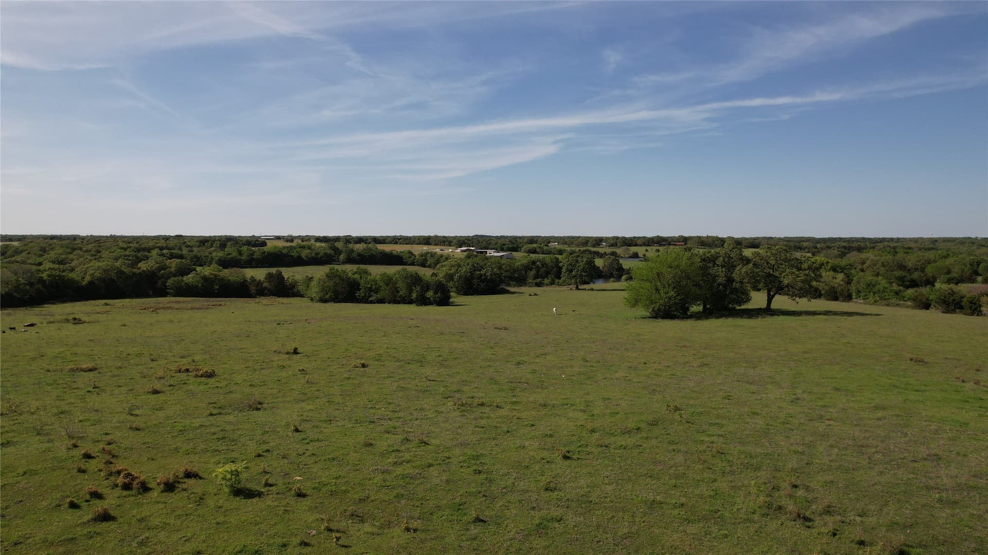 197.51 acres in Grayson County - photo 16